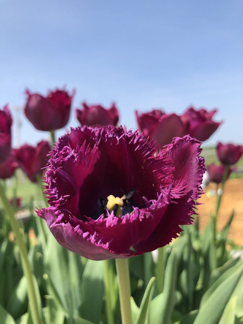 From Sunset to&nbsp;Sunrise