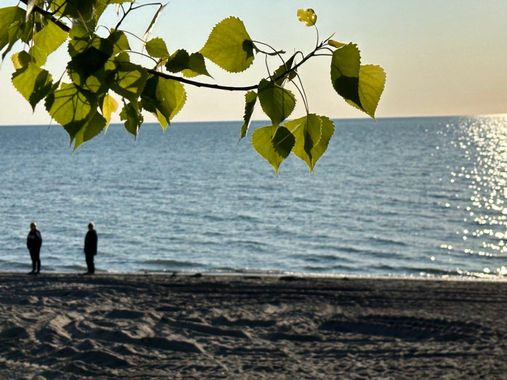 Living in the&nbsp;Wonder